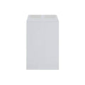 White Wove Catalog Envelopes 6 x 9 250/bx G20798