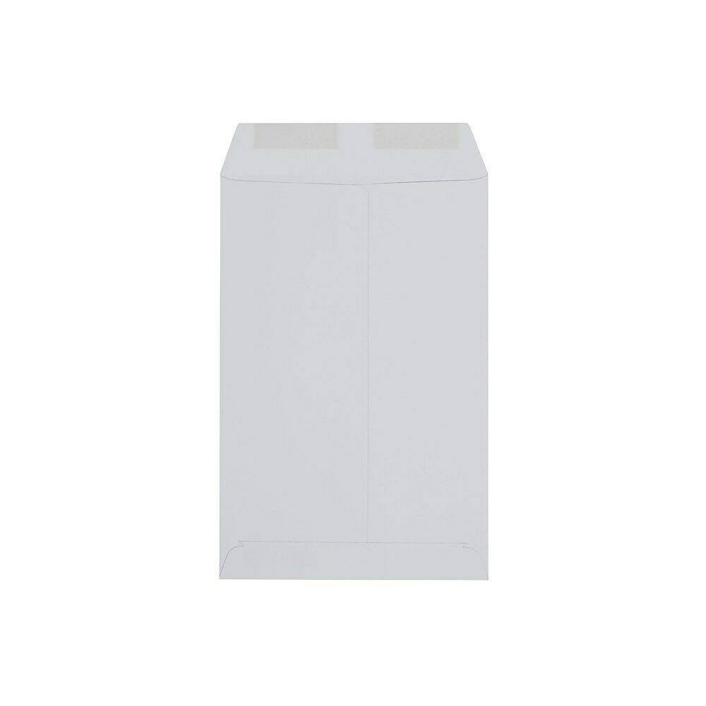 White Wove Catalog Envelopes 6 x 9 250/bx G20798