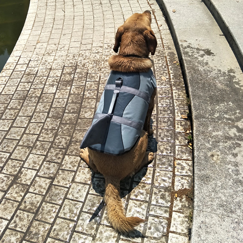 Dog Pet Shark Swimsuit Vest Safety Wear Z9725