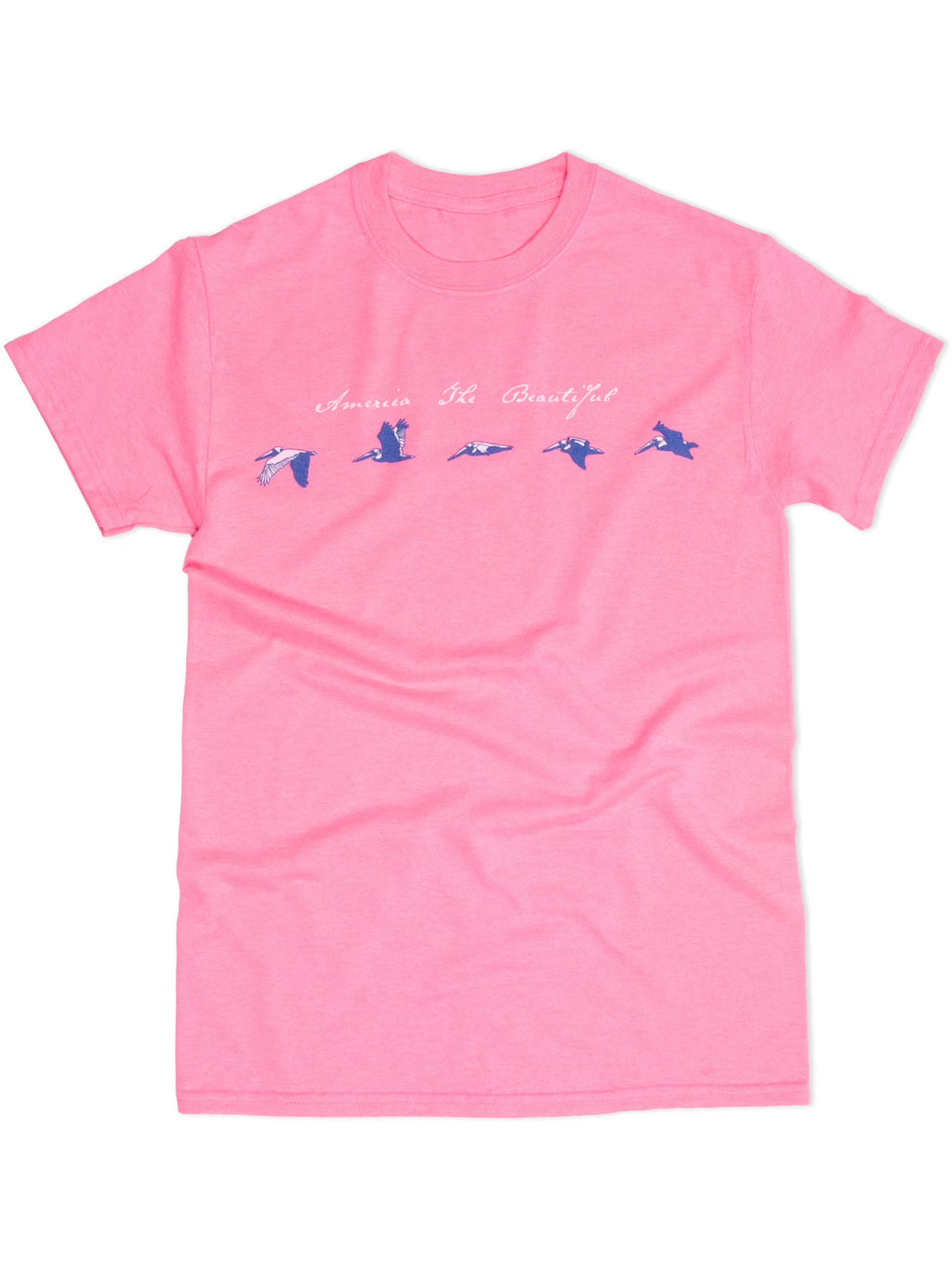 Pelican Flyby Graphic T-Shirt O74103