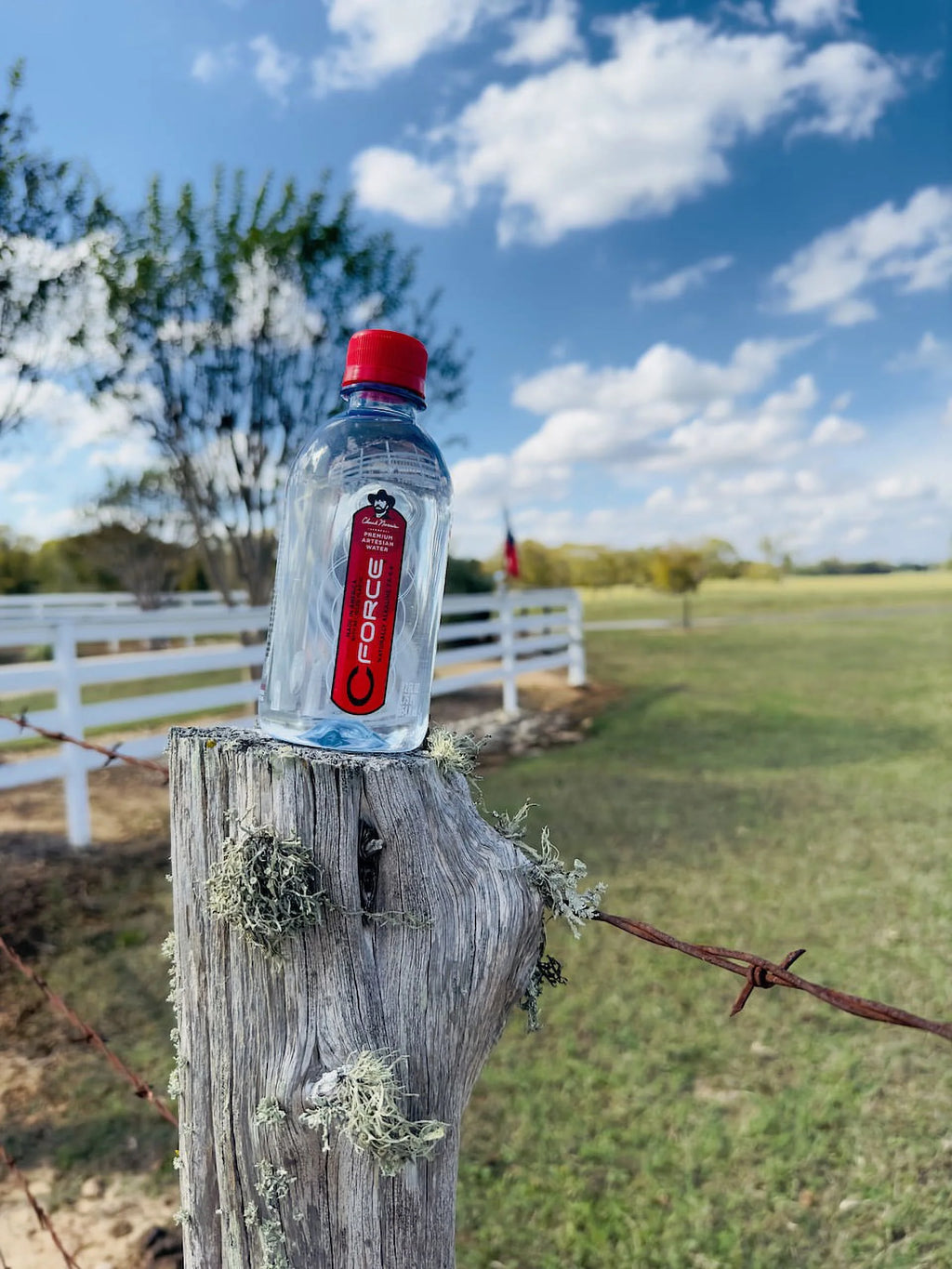 12 oz Plastic Bottled Artesian Spring Water, 24 Pack O673773