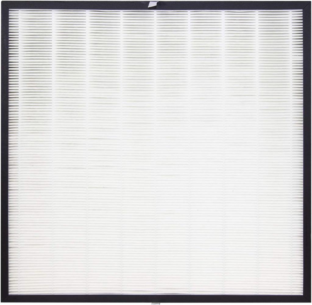 True HEPA Replacement Filter Pack of 2 Y334
