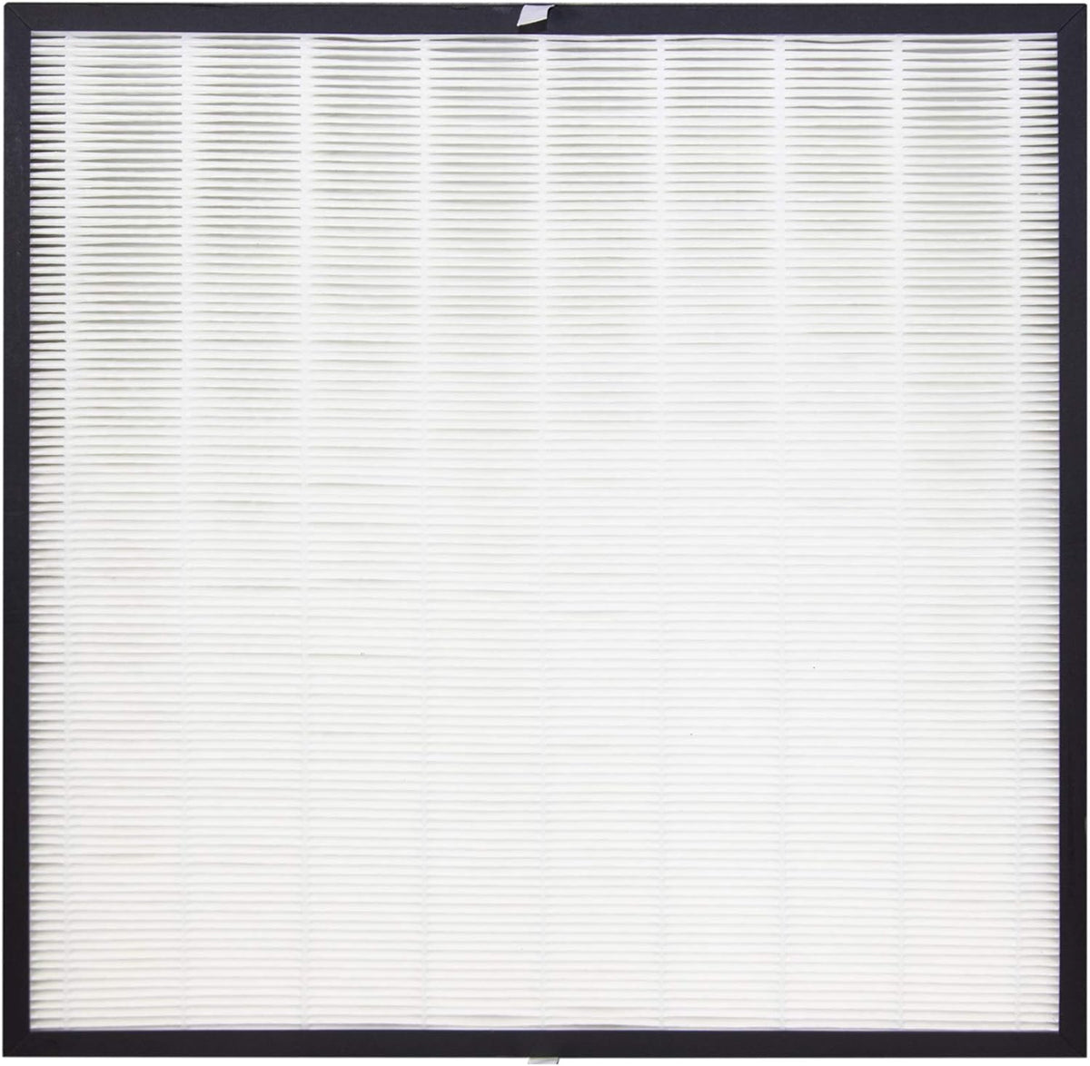 True HEPA Replacement Filter Pack of 2 Y334