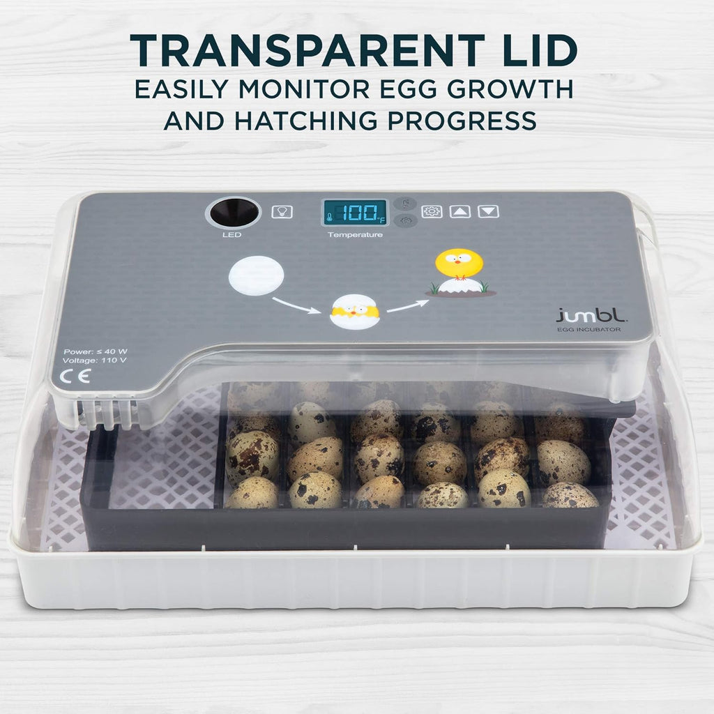 Clear Digital Egg Incubator with Automatic Egg Turner E463