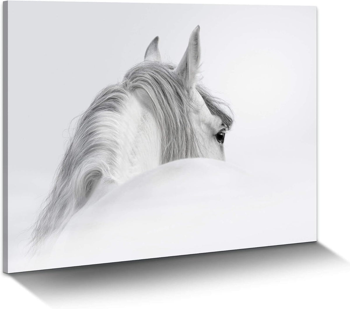 Canvas Wall Art White Wildlife Artwork Vintage Pony Portrait Painting Print Western Farm Animal Picture M314