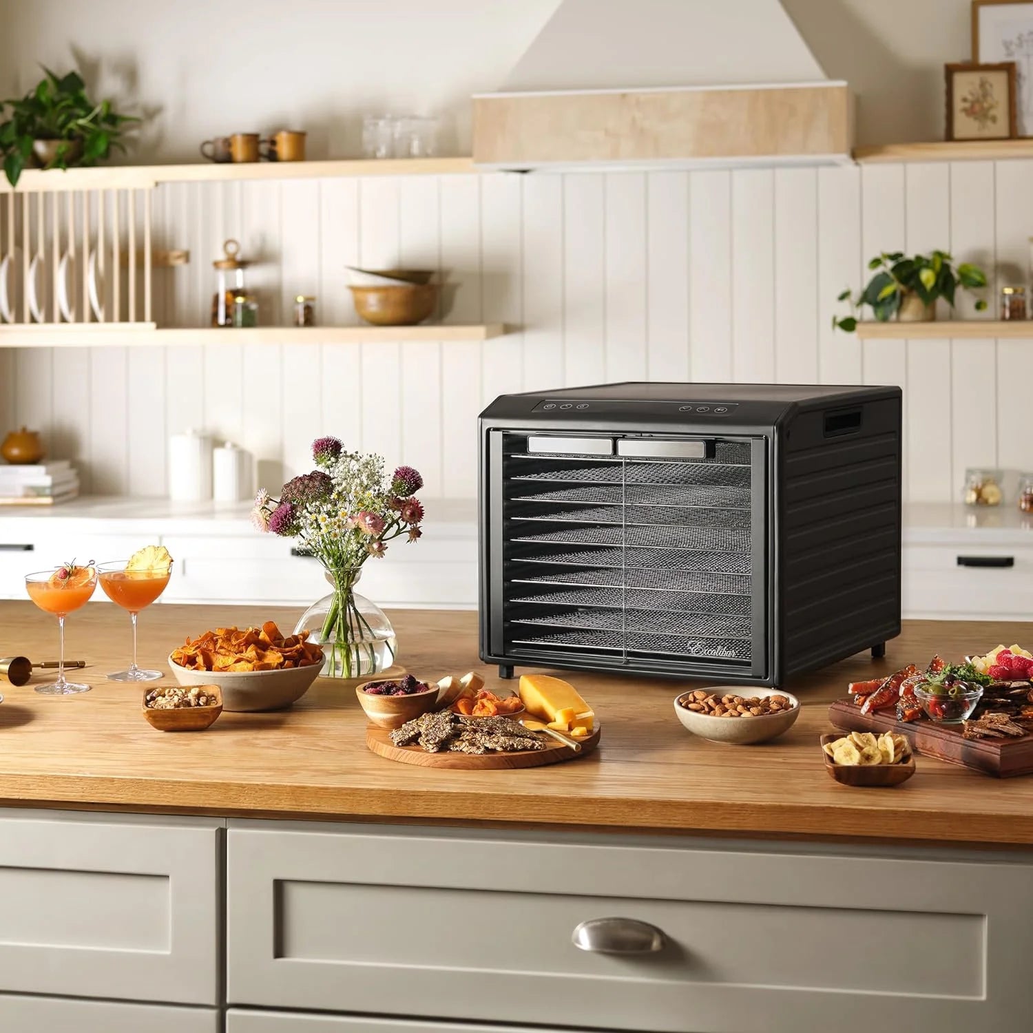 10-Tray Electric Food Dehydrator with Adjustable Temperature Control, 800-Watts, Black K18869