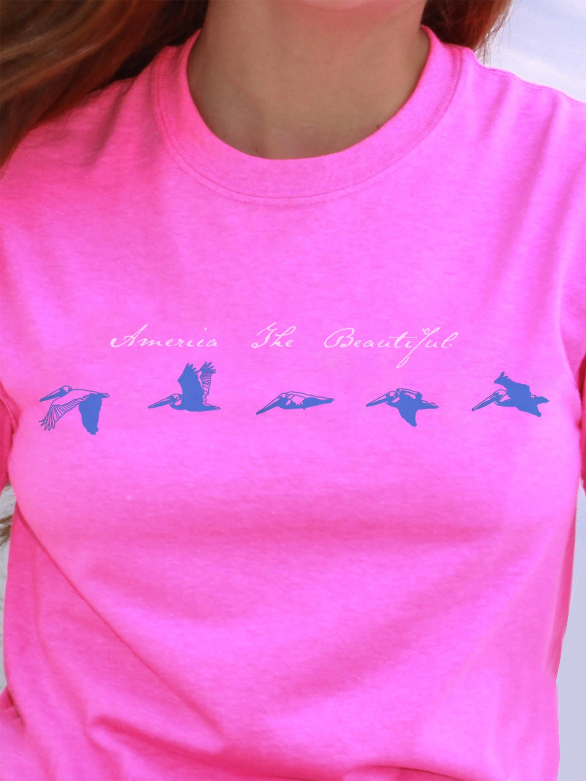 Pelican Flyby Graphic T-Shirt O74103