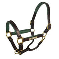 Padded Leather Halter with Nameplate Q7576