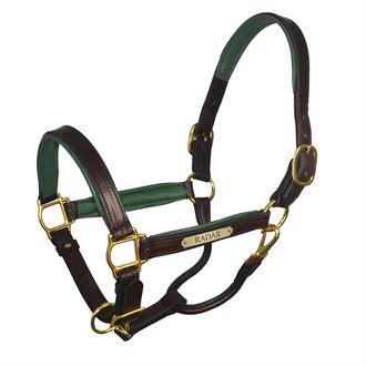 Padded Leather Halter with Nameplate Q7576