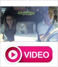 Palmer Dove Console Pet Car Seat M311362