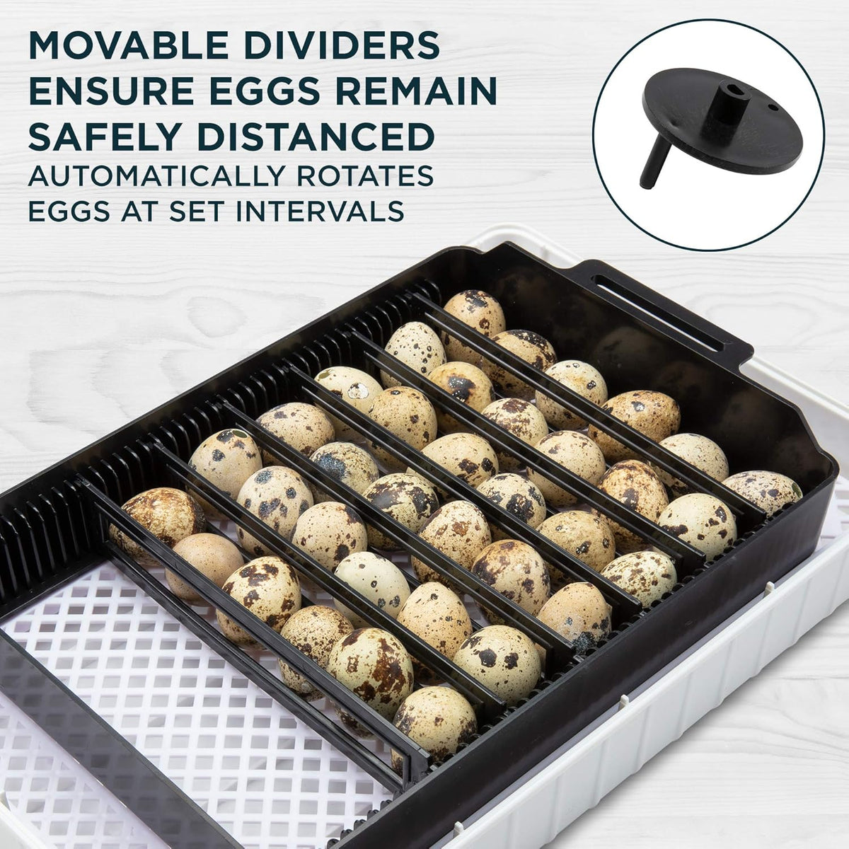 Clear Digital Egg Incubator with Automatic Egg Turner E463