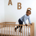 Crib Mattress Z290