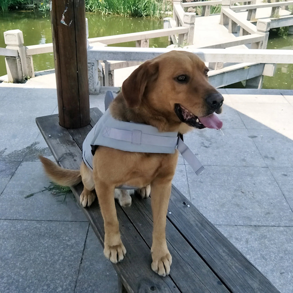 Dog Pet Shark Swimsuit Vest Safety Wear Z9725