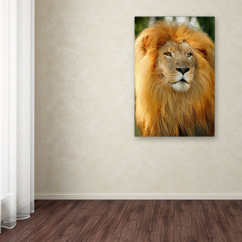 Canvas Art D57965