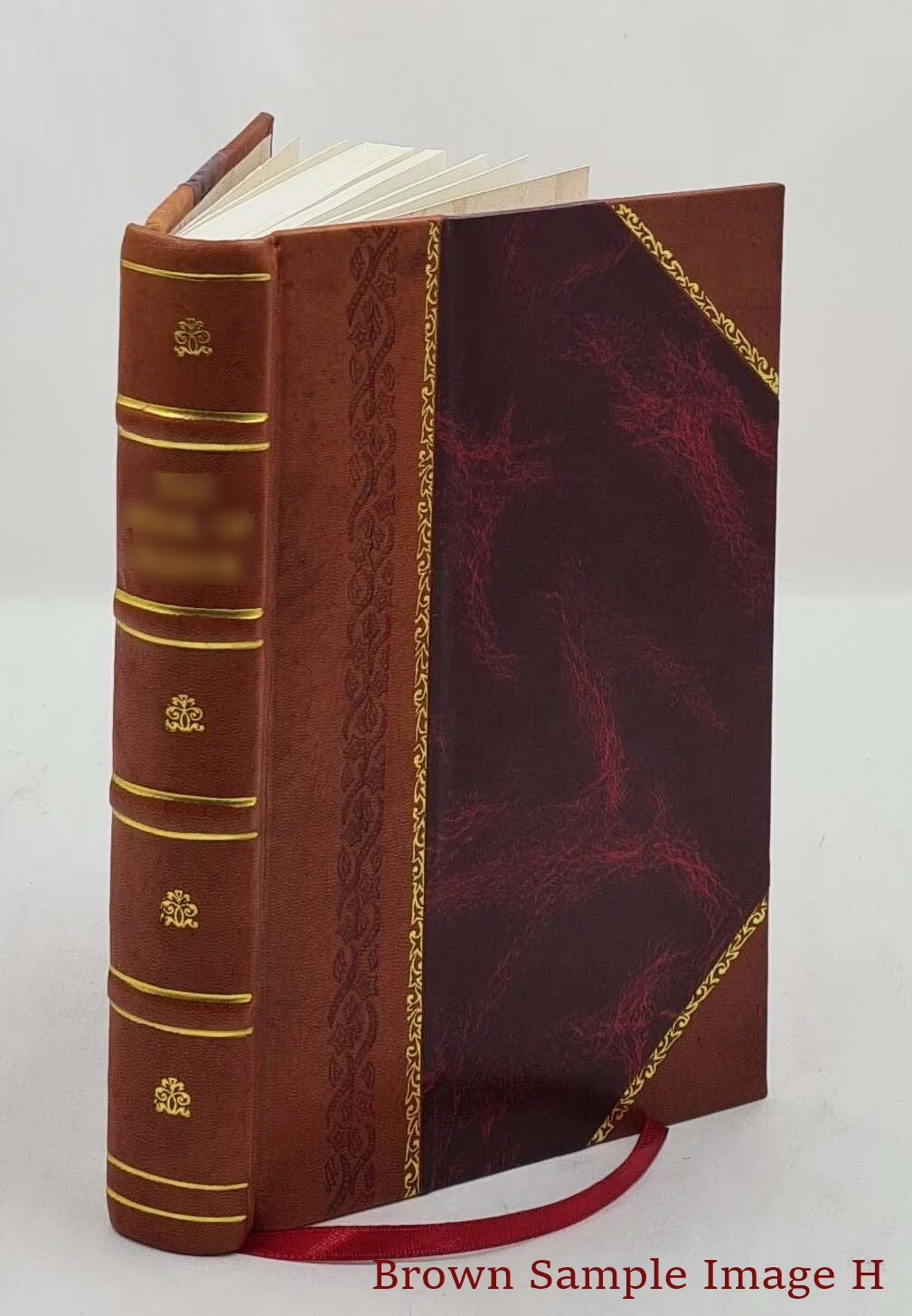 Shipwreck Captivity And Escape From France [Leather Bound] F768