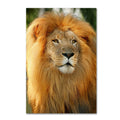 Canvas Art D57965