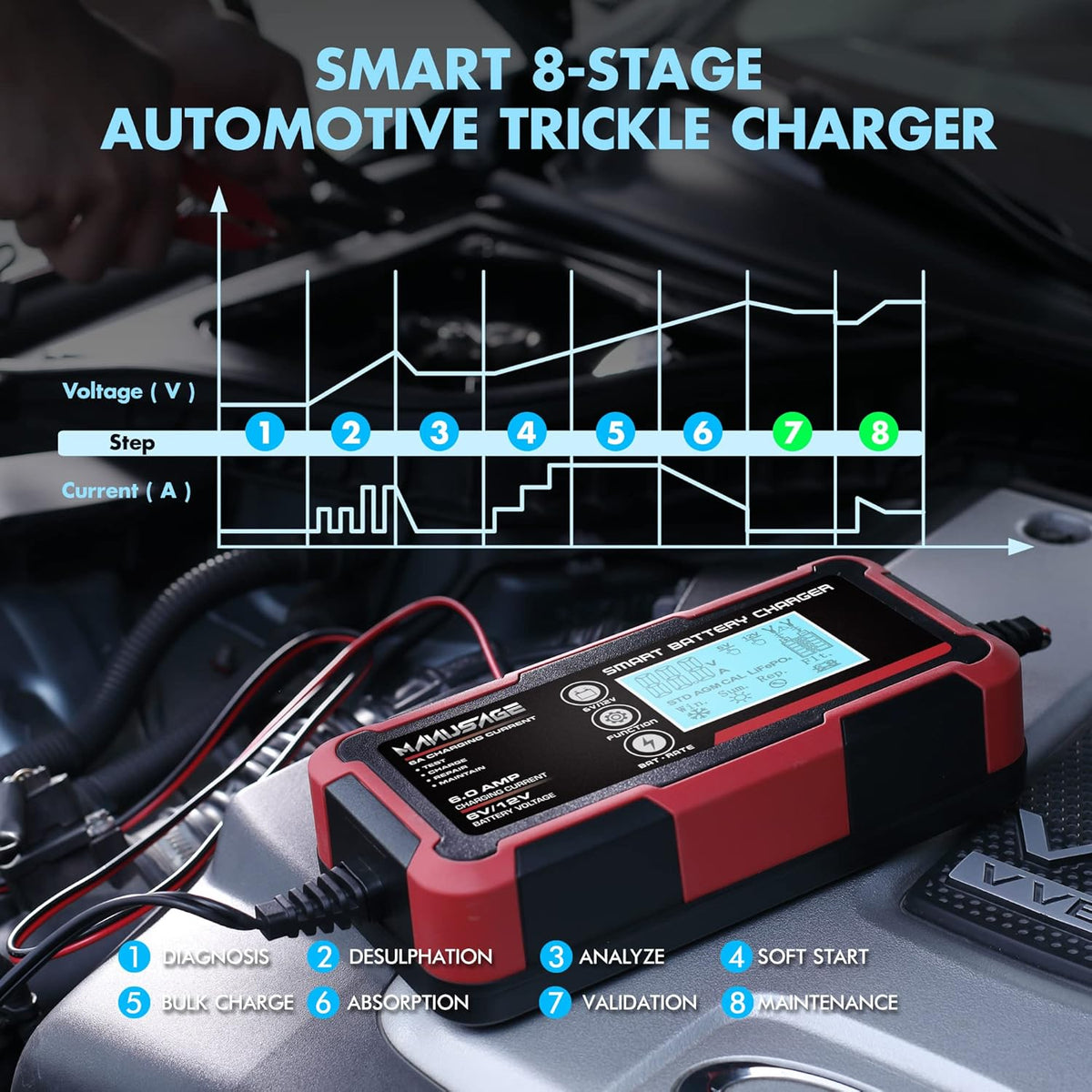 6V and 12V Portable Battery Charger Pack of 2 H63875