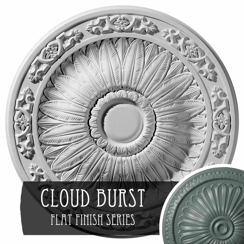 20 1/4x22OD x 1 1/2x22P Ceiling Medallion Hand-Painted Cloud Burst X179228