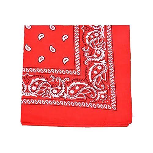 48 Pack x Large 100% Cotton Double Sided Bandanas 27 x 27 Inches G456