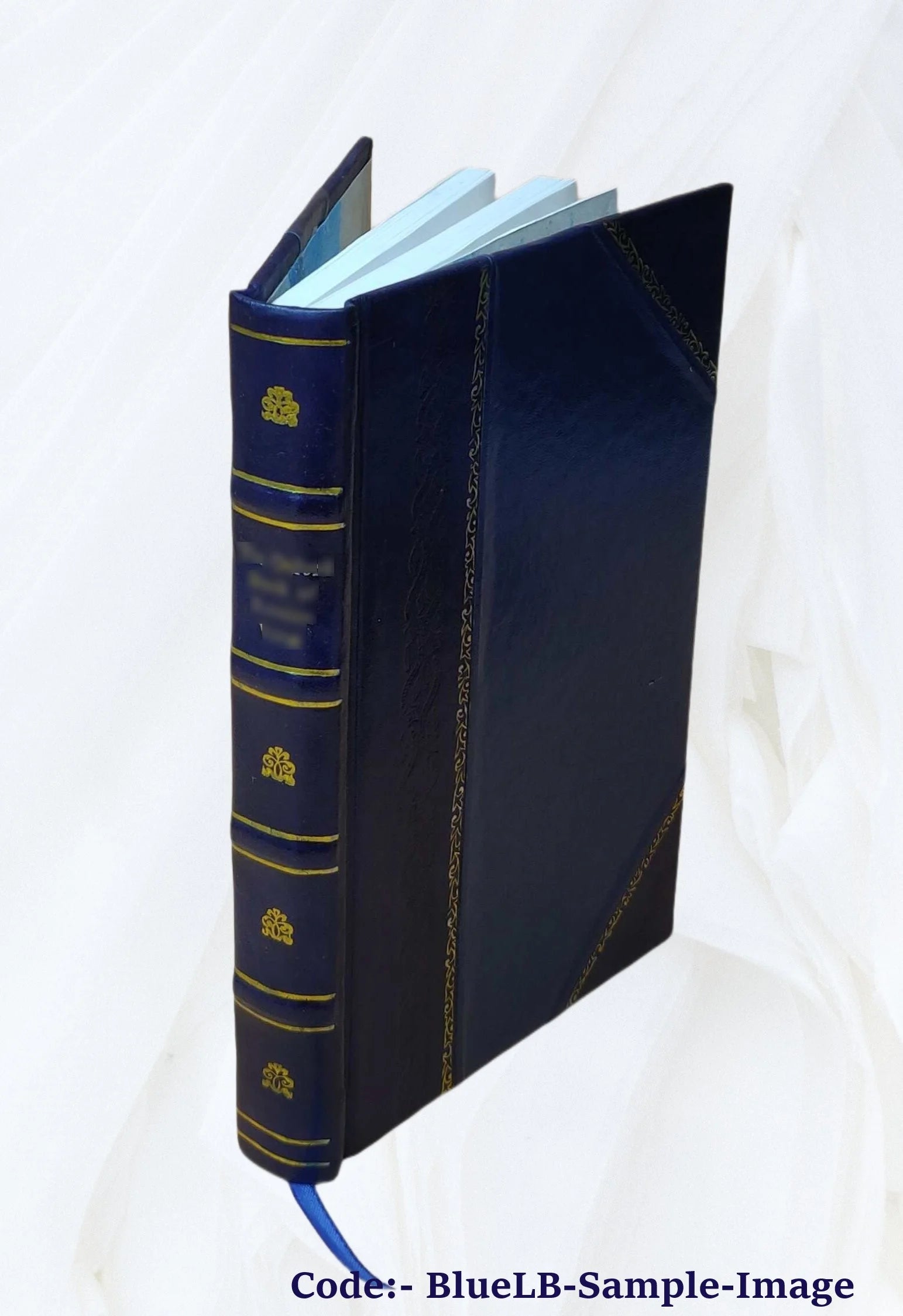 Leather Bound Book T8714