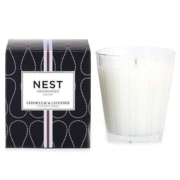 Sahara Spice Classic Candle 8.1 oz S70661