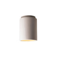 Cylinder Flush-Mount S780