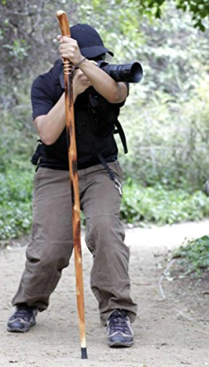 Natural Wood Walking Stick with Root Head, Carved Hand Grip, Steel X468644