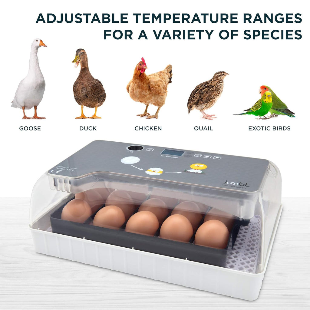 Clear Digital Egg Incubator with Automatic Egg Turner E463