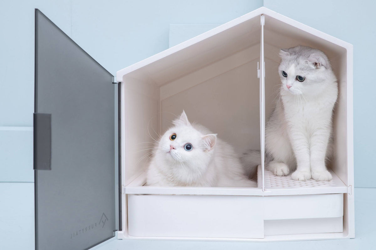 XL Semi-Closed Cat Litter Box with Scoop K7362