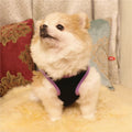 Dog Life Jacket with Rescue Handle, Reflective Adjustable Life Vest G4303
