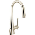 Single Hole Pull Down Kitchen Faucet Z7032