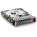 300 GB SAS Hard Drive X143