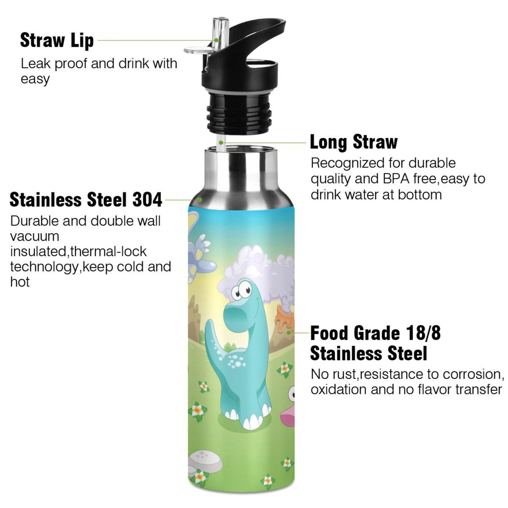 Stainless Steel Vacuum Insulated Water Bottle with Straw Lid 20 OZ P4913