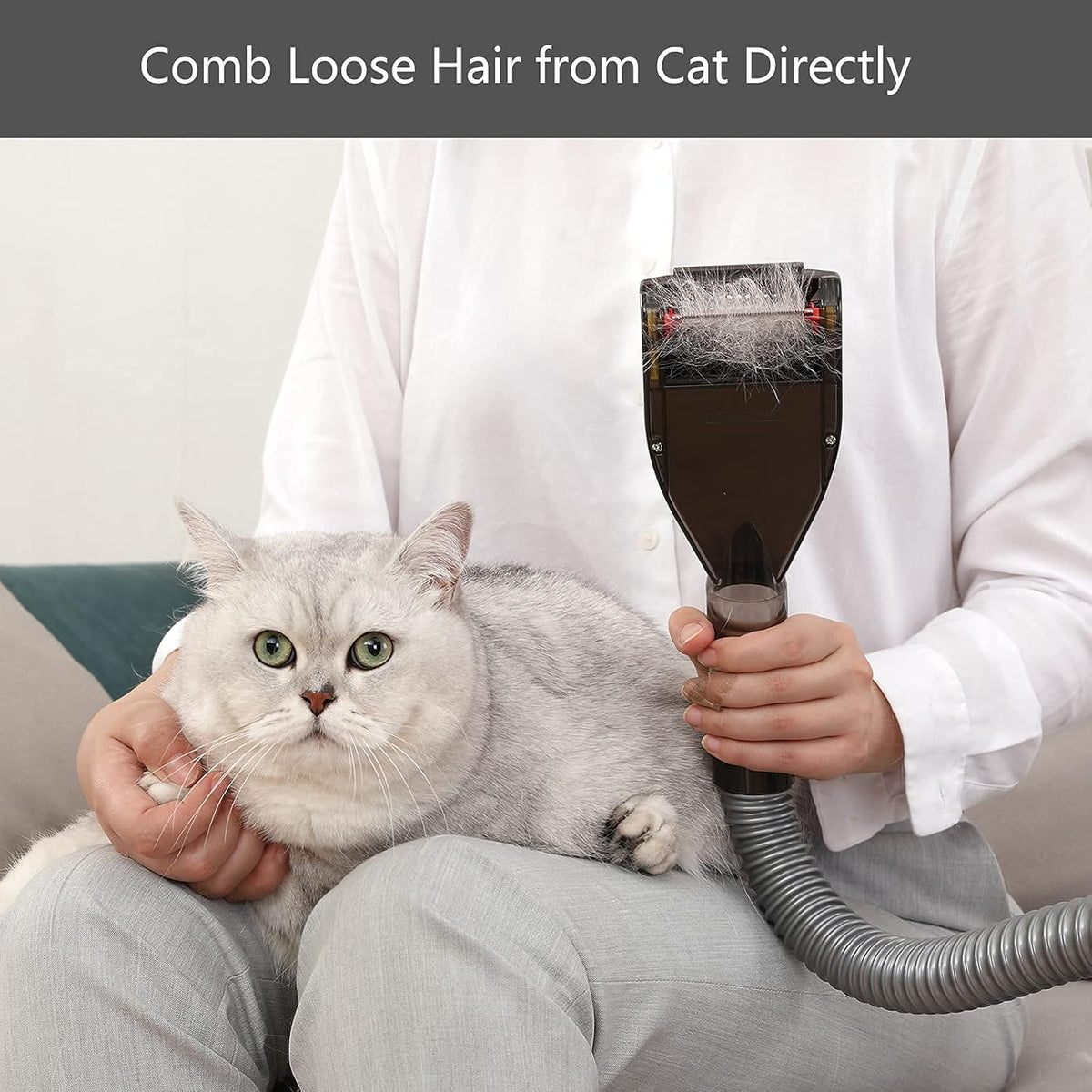 Pet Vacuum Grooming Brush and Shedding Comb Kit T692514