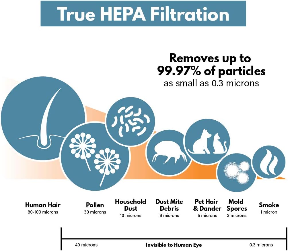 True HEPA Replacement Filter Pack of 2 Y334