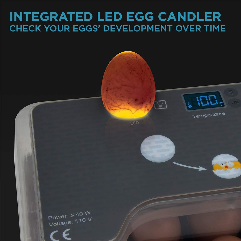 Clear Digital Egg Incubator with Automatic Egg Turner E463