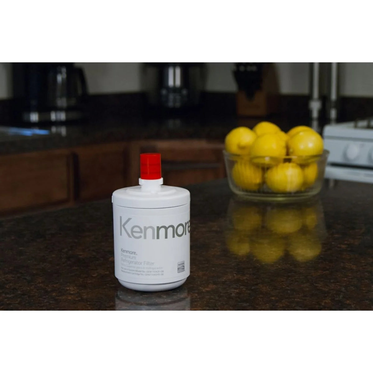 3 Count Refrigerator Water Filter R748175