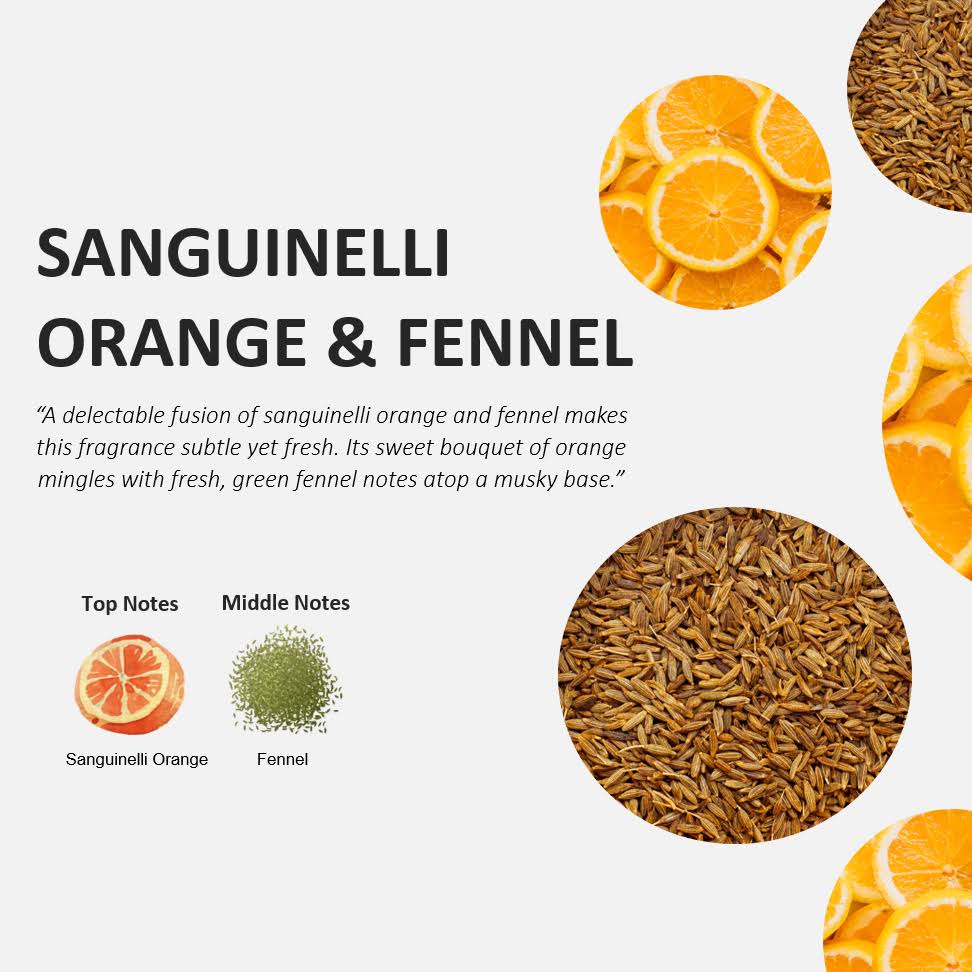 Orange and Fennel Hand Soap 500ml + 1 LITER Set C418913