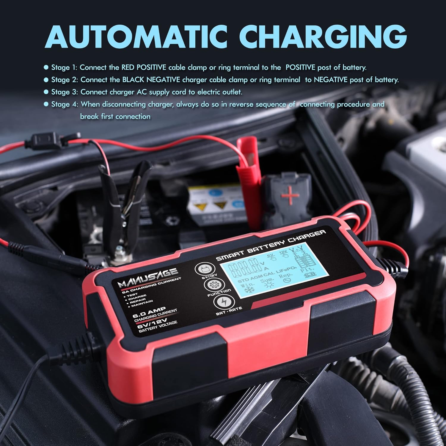 6V and 12V Portable Battery Charger Pack of 2 H63875