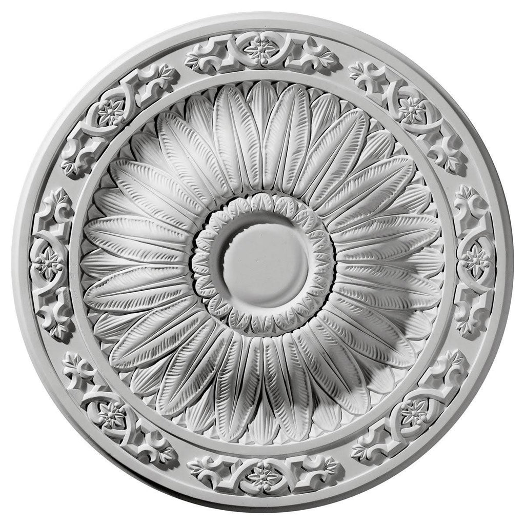 20 1/4x22OD x 1 1/2x22P Ceiling Medallion Hand-Painted Cloud Burst X179228