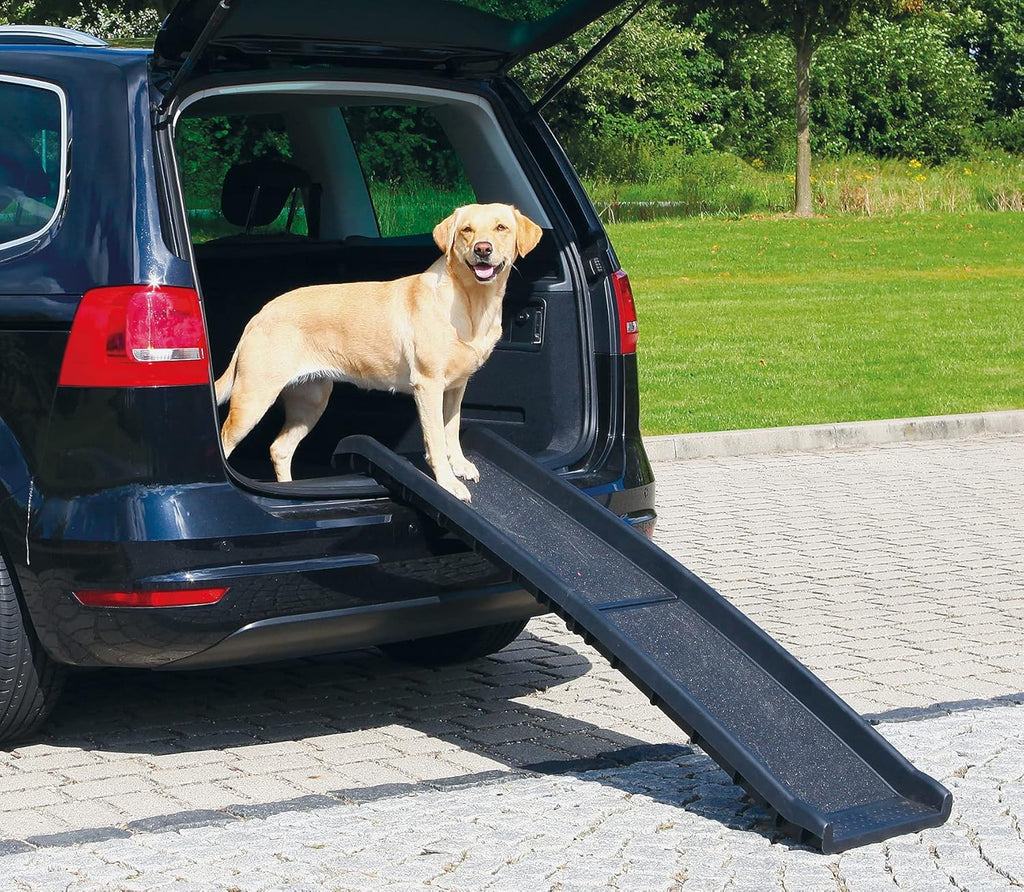Portable Folding Dog Ramp, Black, 61.25x15.75 Inch Z940
