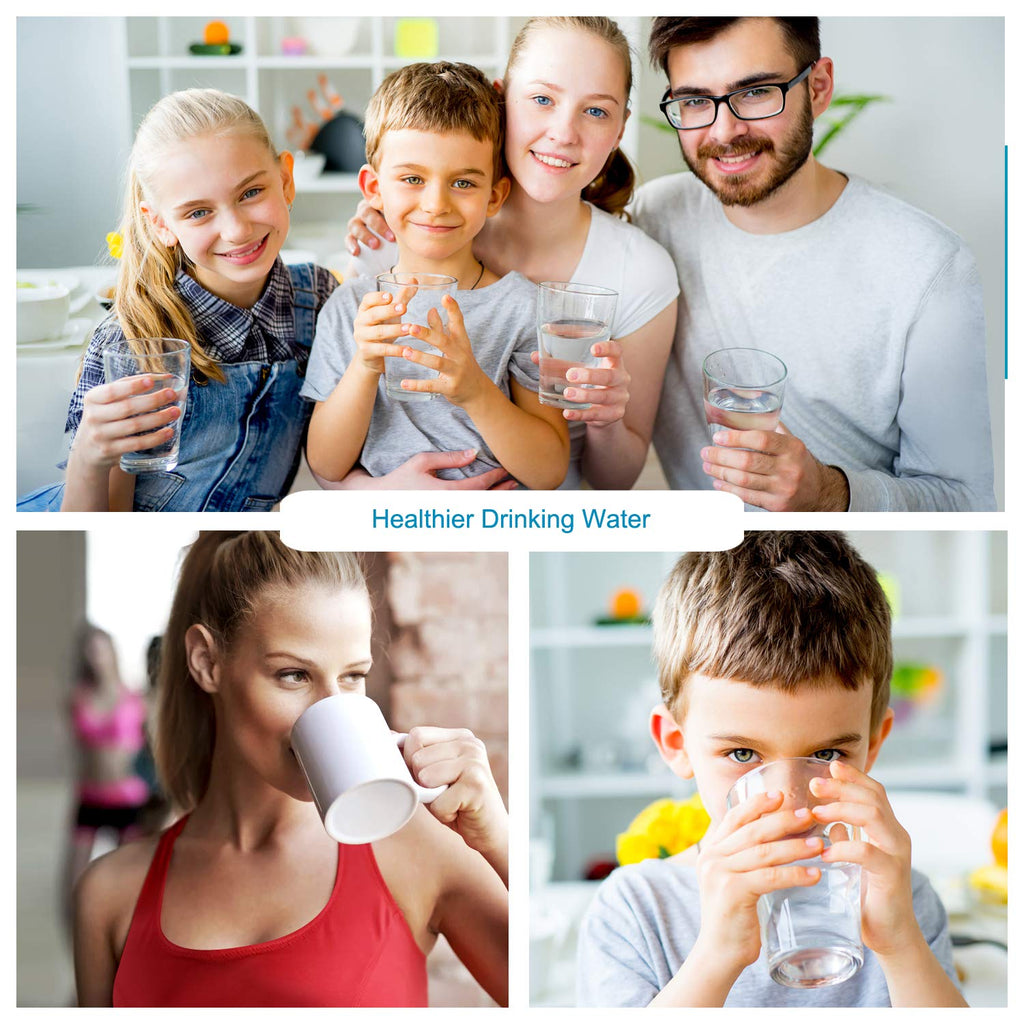 Countertop Water Filter V67894